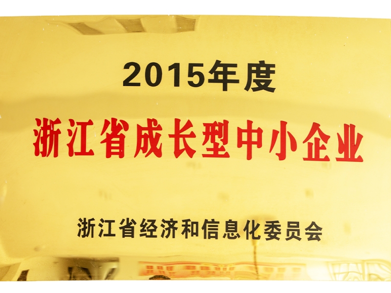 2015年度浙江省成長型中小企業(yè)