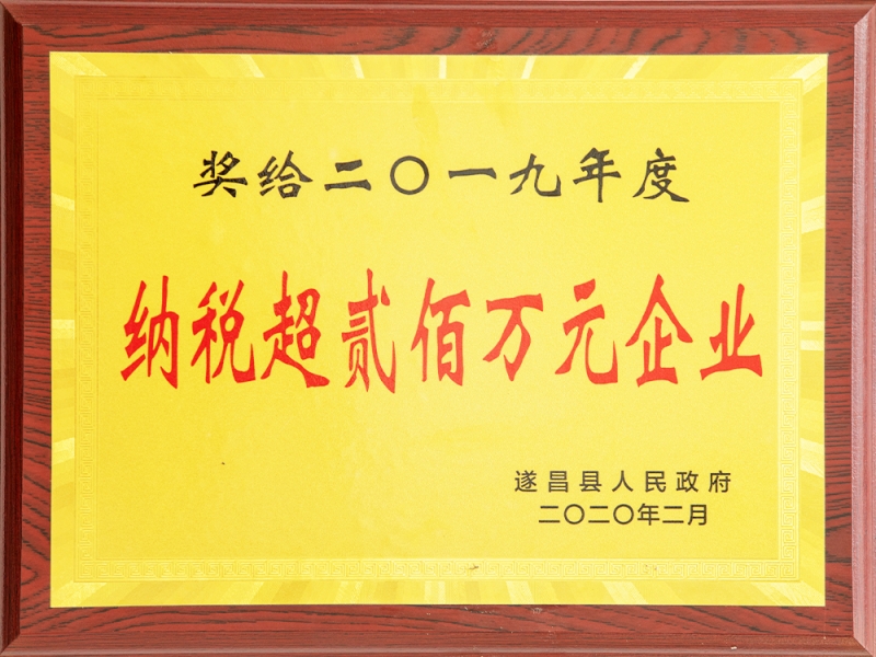 2019年度遂昌縣納稅超兩百萬(wàn)元企業(yè)